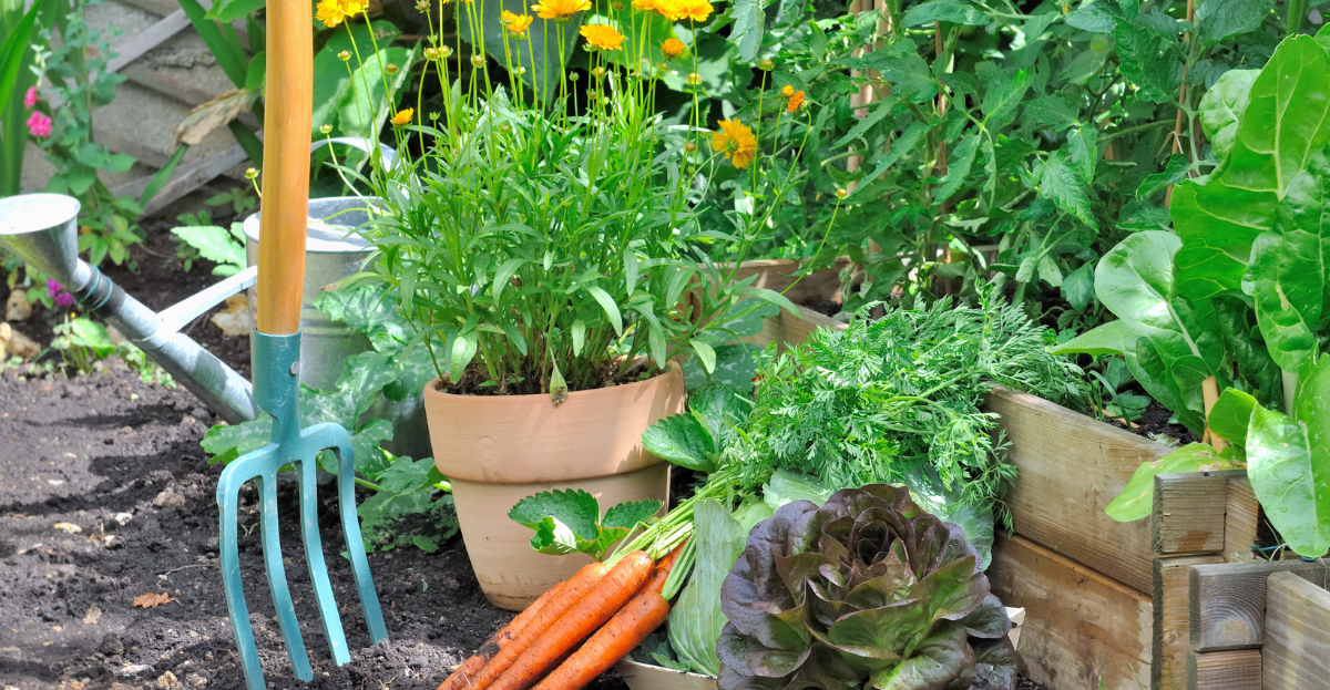 vegetables and tools